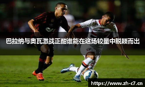 c7娱乐官网